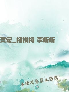 灵宠